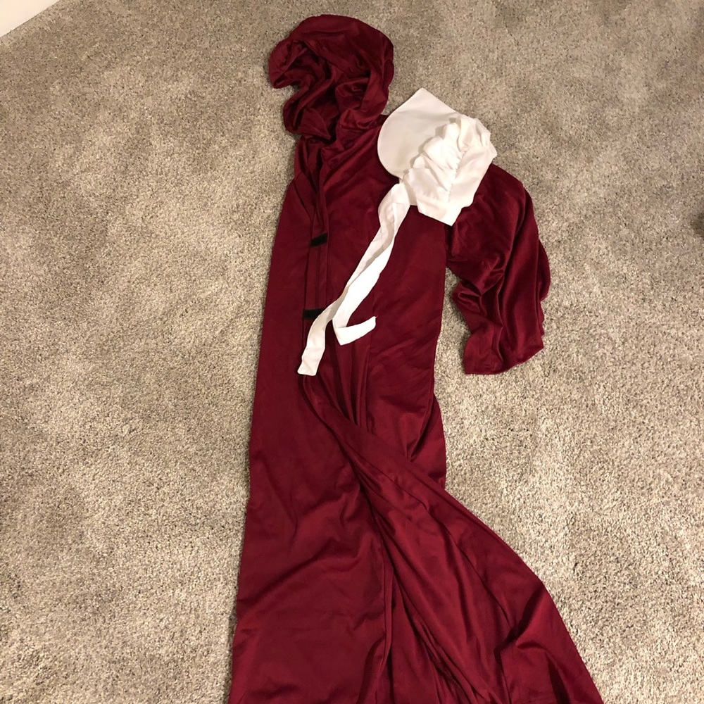 Halloween costume- Handmaids Tale